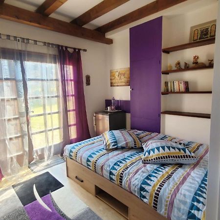Maison Le Lezard Chez Amalia Et Fred Thonon-les-Bains Exteriér fotografie