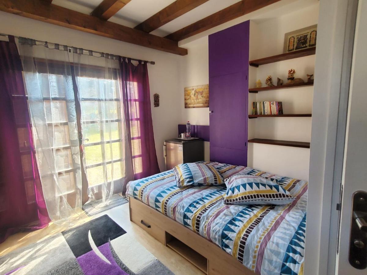Maison Le Lezard Chez Amalia Et Fred Thonon-les-Bains Exteriér fotografie