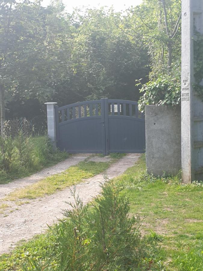 Maison Le Lezard Chez Amalia Et Fred Thonon-les-Bains Exteriér fotografie
